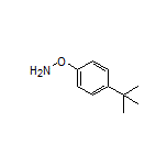 O-[4-(tert-Butyl)phenyl]hydroxylamine
