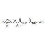 (R)-3-Hydroxy-4-[[3-[(2-mercaptoethyl)amino]-3-oxopropyl]amino]-2,2-dimethyl-4-oxobutyl Dihydrogen Phosphate