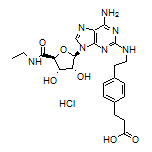 3-[4-[2-[[6-Amino-9-[(2R,3R,4S,5S)-5-(ethylcarbamoyl)-3,4-dihydroxytetrahydro-2-furyl]-9H-purin-2-yl]amino]ethyl]phenyl]propanoic Acid Hydrochloride