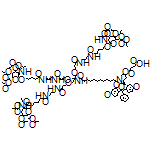 4-[[(3R,5S)-1-[1-[[(2R,3R,4R,5R,6R)-3-Acetamido-4,5-diacetoxy-6-(acetoxymethyl)tetrahydro-2H-pyran-2-yl]oxy]-16,16-bis[[3-[[3-[5-[[(2R,3R,4R,5R,6R)-3-acetamido-4,5-diacetoxy-6-(acetoxymethyl)tetrahydro-2H-pyran-2-yl]oxy]pentanamido]propyl]amino]-3-oxopropoxy]methyl]-5,11,18-trioxo-14-oxa-6,10,17-triazanonacosan-29-oyl]-5-[[bis(4-methoxyphenyl)(phenyl)methoxy]methyl]-3-pyrrolidinyl]oxy]-4-oxobutanoic Acid