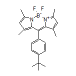 10-[4-(tert-Butyl)phenyl]-5,5-difluoro-1,3,7,9-tetramethyl-5H-dipyrrolo[1,2-c:2’,1’-f][1,3,2]diazaborinin-4-ium-5-uide