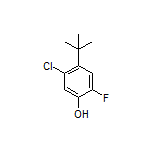 4-(tert-Butyl)-5-chloro-2-fluorophenol