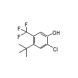 4-(tert-Butyl)-2-chloro-5-(trifluoromethyl)phenol