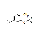 4-(tert-Butyl)-2-(trifluoromethoxy)phenol