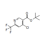 tert-Butyl 4-Chloro-6-(trifluoromethyl)nicotinate