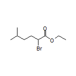 Ethyl 2-Bromo-5-methylhexanoate