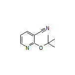 2-(tert-Butoxy)nicotinonitrile
