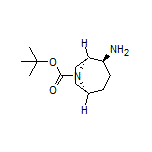 (1S,2S,5S)-2-Amino-8-Boc-8-azabicyclo[3.2.1]octane