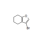 3-Bromo-4,5,6,7-tetrahydrobenzofuran
