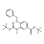 4-(苄基氧基)-3-[N-Boc(甲基)氨基]苯甲酸叔丁酯