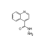 Quinoline-4-carbohydrazide