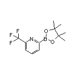 6-(Trifluoromethyl)pyridine-2-boronic Acid Pinacol Ester