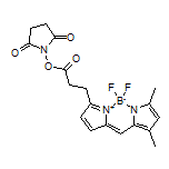 BDP FL NHS Ester