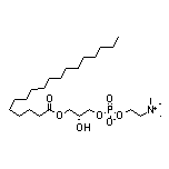 (R)-2-Hydroxy-3-(stearoyloxy)propyl [2-(Trimethylammonio)ethyl] Phosphate