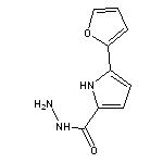 5-(2-furyl)-1H-pyrrole-2-carbohydrazide