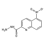 5-nitro-2-quinolinecarbohydrazide