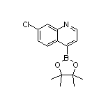 7-Chloroquinoline-4-boronic Acid Pinacol Ester