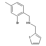 N-(2-Bromo-4-methylbenzyl)-1-(2-thienyl)methanamine