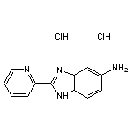 2-(pyridin-2-yl)-1H-1,3-benzodiazol-5-amine dihydrochloride