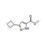Methyl 3-Cyclobutyl-1H-pyrazole-5-carboxylate