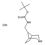 N-Boc-1-(3-azabicyclo[3.2.1]octan-8-yl)methanamine Hydrochloride