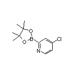 4-Chloropyridine-2-boronic Acid Pinacol Ester