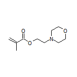 2-Morpholinoethyl Methacrylate