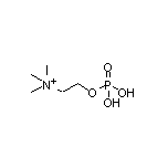 N,N,N-trimethyl-2-(phosphonooxy)ethanaminium