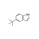 5-(tert-Butyl)-1H-indole