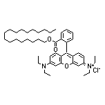 Octadecyl Rhodamine B Chloride