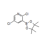 2,5-Dichloropyridine-3-boronic Acid Pinacol Ester