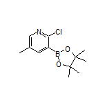 2-Chloro-5-methylpyridine-3-boronic Acid Pinacol Ester
