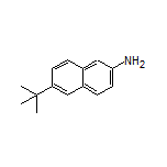 2-Amino-6-(tert-butyl)naphthalene