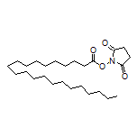 2,5-Dioxo-1-pyrrolidinyl Docosanoate