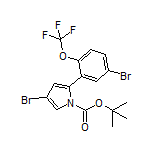 4-Bromo-2-[5-bromo-2-(trifluoromethoxy)phenyl]-1-Boc-1H-pyrrole