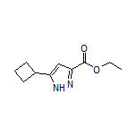 Ethyl 5-Cyclobutyl-1H-pyrazole-3-carboxylate