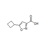5-Cyclobutylisoxazole-3-carboxylic Acid