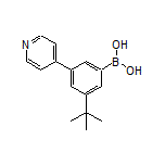 3-(tert-Butyl)-5-(4-pyridyl)phenylboronic Acid