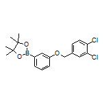 3-[(3,4-Dichlorobenzyl)oxy]phenylboronic Acid Pinacol Ester