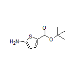 tert-Butyl 5-Aminothiophene-2-carboxylate