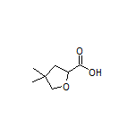 4,4-Dimethyltetrahydrofuran-2-carboxylic Acid