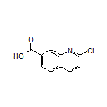 2-Chloroquinoline-7-carboxylic Acid