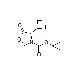 3-Boc-4-cyclobutyl-5-oxooxazolidine