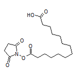 14-[(2,5-Dioxo-1-pyrrolidinyl)oxy]-14-oxotetradecanoic Acid