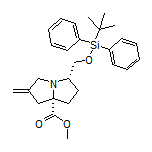 Methyl (5S,7aS)-5-[[(tert-Butyldiphenylsilyl)oxy]methyl]-2-methylenetetrahydro-1H-pyrrolizine-7a(5H)-carboxylate