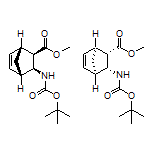 Methyl (1R,2R,3S,4S)-rel-3-(Boc-amino)bicyclo[2.2.1]hept-5-ene-2-carboxylate