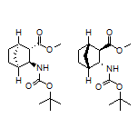 Methyl (1R,2S,3S,4S)-rel-3-(Boc-amino)bicyclo[2.2.1]heptane-2-carboxylate