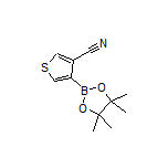 4-Cyanothiophene-3-boronic Acid Pinacol Ester