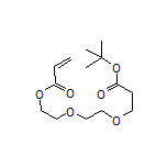 2-[2-[3-(tert-Butoxy)-3-oxopropoxy]ethoxy]ethyl Acrylate
