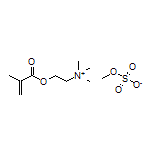 2-(Methacryloyloxy)-N,N,N-trimethylethanaminium Methyl Sulfate